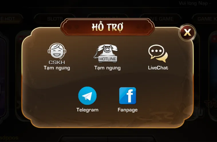 Đội ngũ hỗ trợ chăm sóc khách hàng hoạt động 24/7.